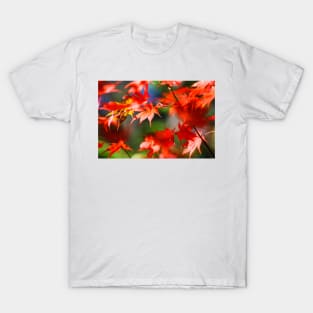 Maple tree red autumn leafs T-Shirt